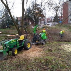 Nie Ma Lipy - wycinanie drzew pod inwestycję we Wrocławiu